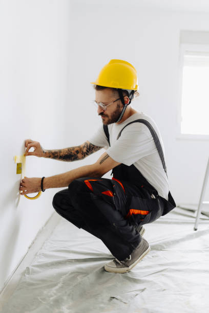 Best Drywall Finishing  in Gridley, IL